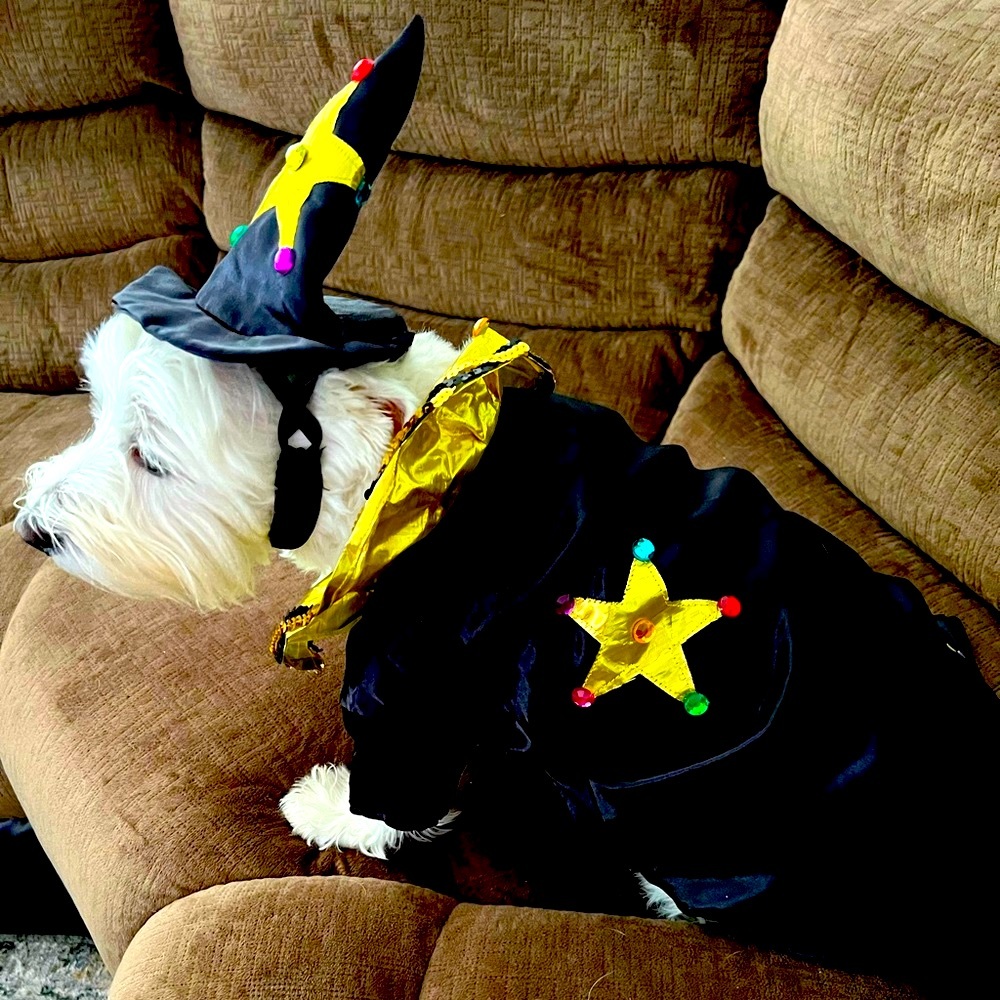 Halloween Costume. Witch with matching Hat.